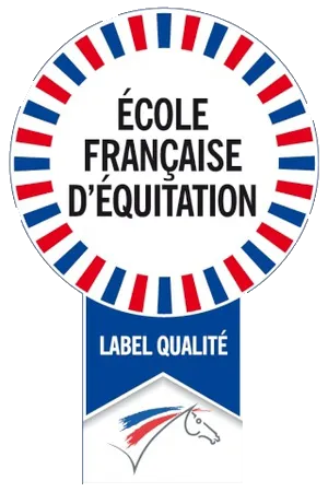 Certification 3
