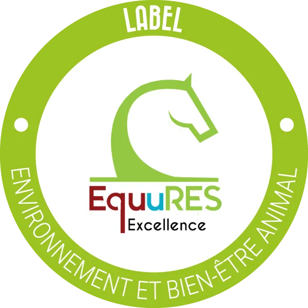 Certification 2