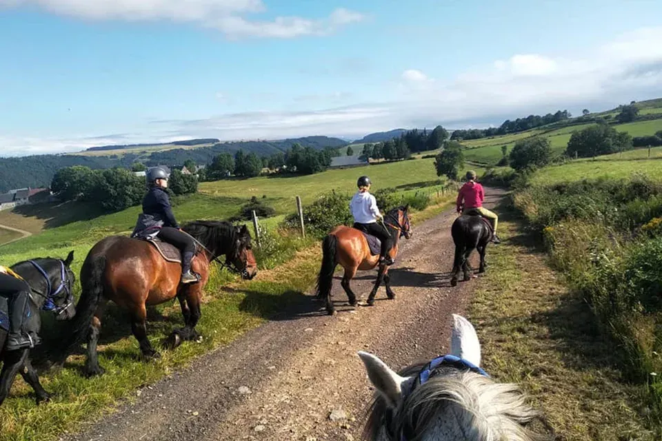 Balade à cheval près de Clermont-Ferrand