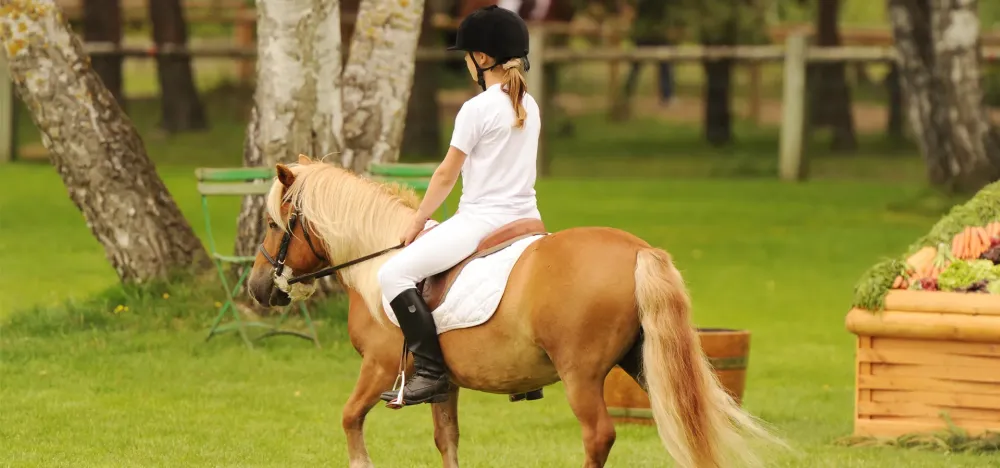 Poney près de Clermont-Ferrand