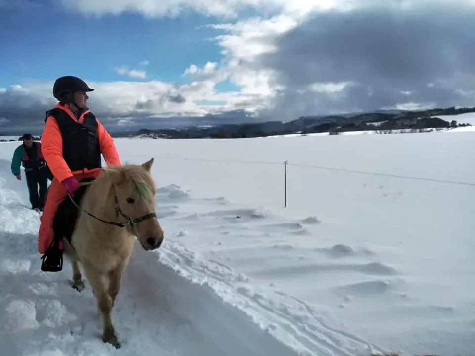 balade-poney (4)