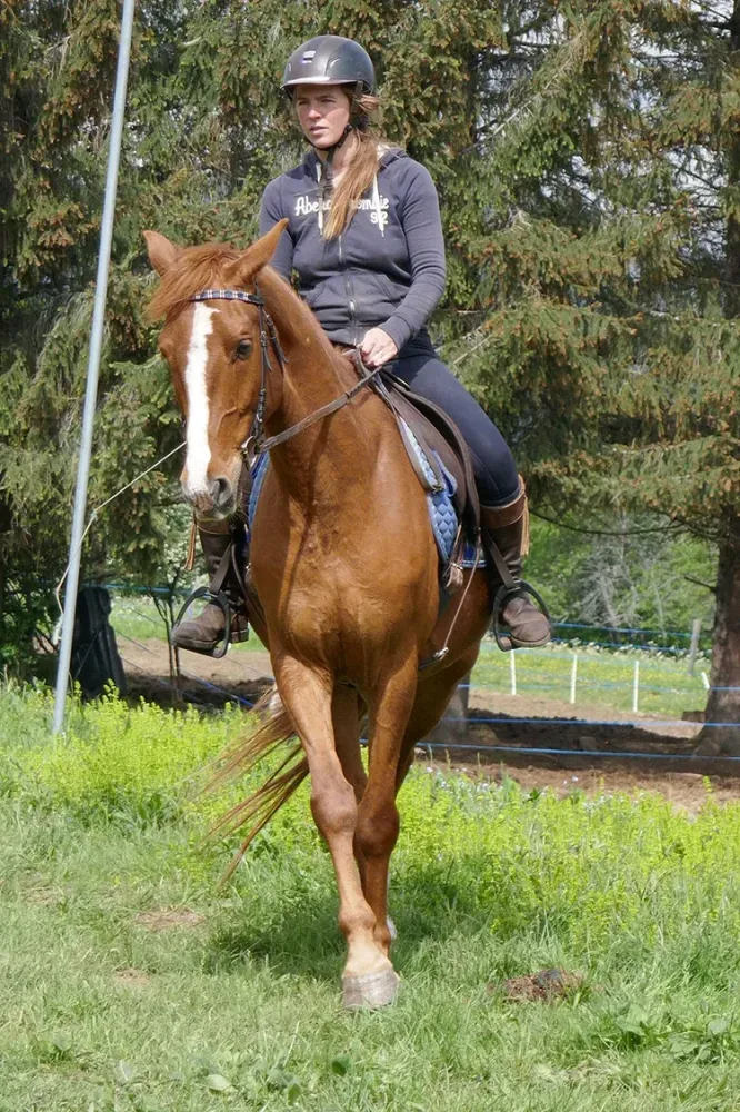 cours-equitation (5)