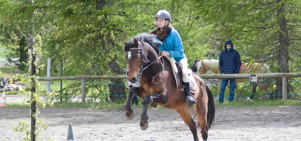 Sport étude cheval près de Clermont-Ferrand