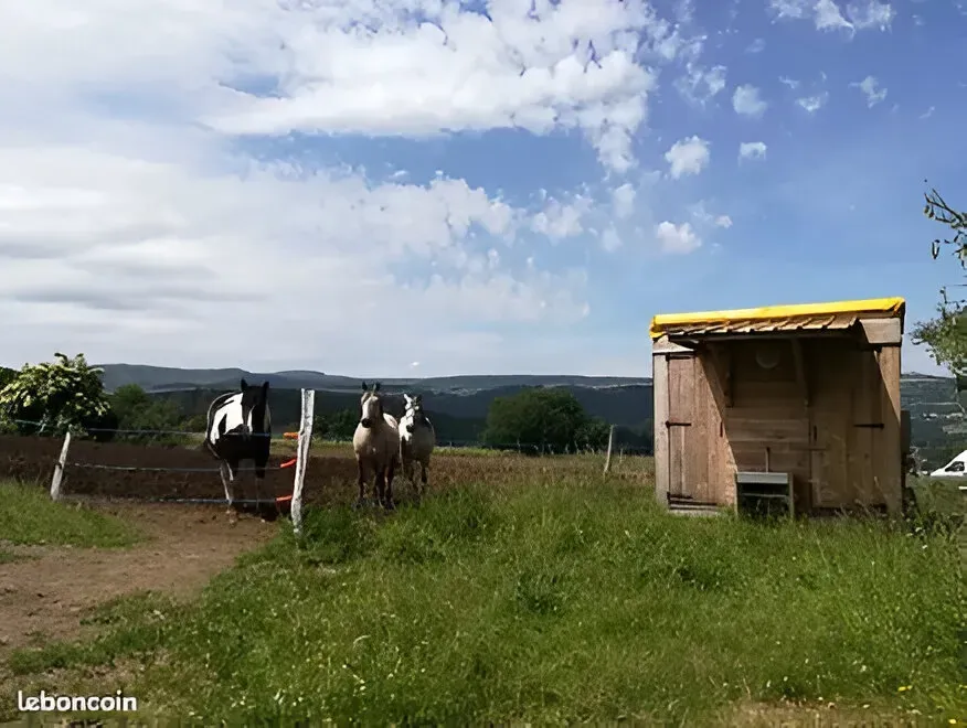 camping (5)
