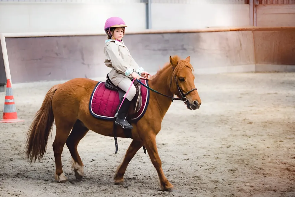 chevaux-galopins (3)